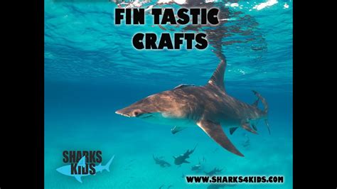 sharks4kids crafts